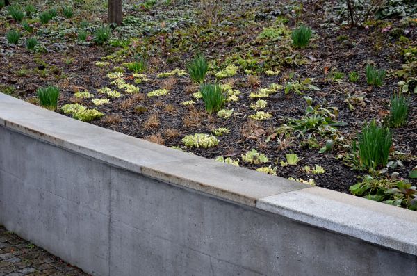 Cost of Concrete Wall Construction in Lansing