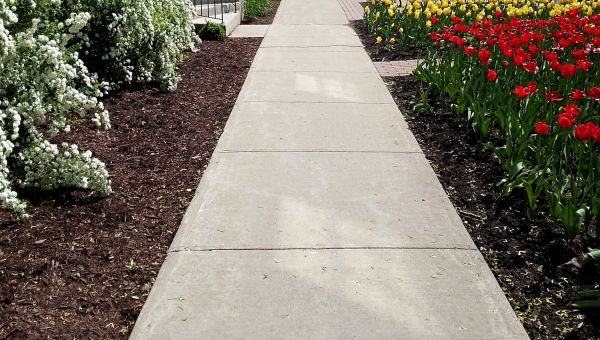 Cost of Sidewalk Slab Replacement in Lansing